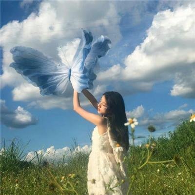 西科克斯七人组的归来